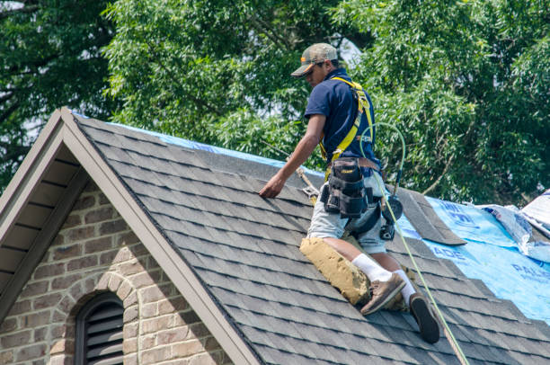 Best New Roof Installation  in Lakeview, GA